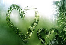 虎扑体育：[CBA]王岚嵚单场最高 辽宁战胜福建.